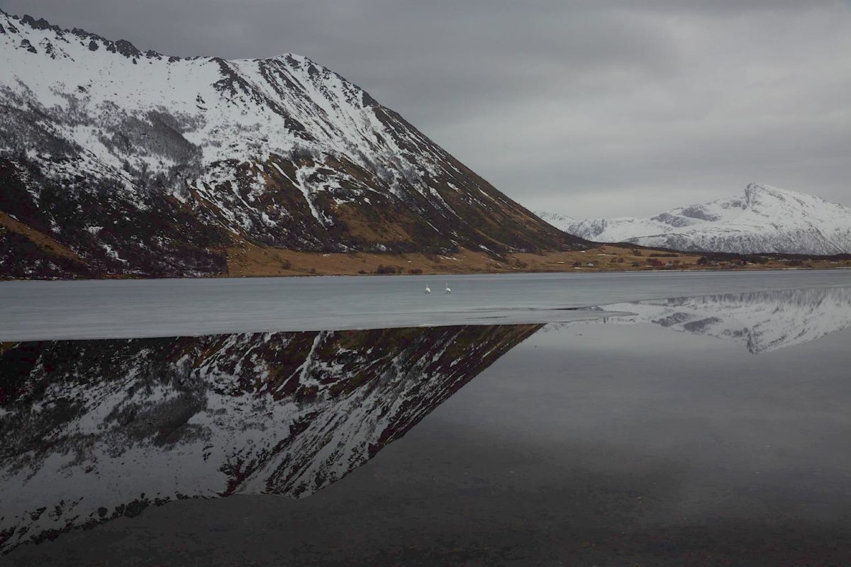 Reflets sur la glace aux Lofoten