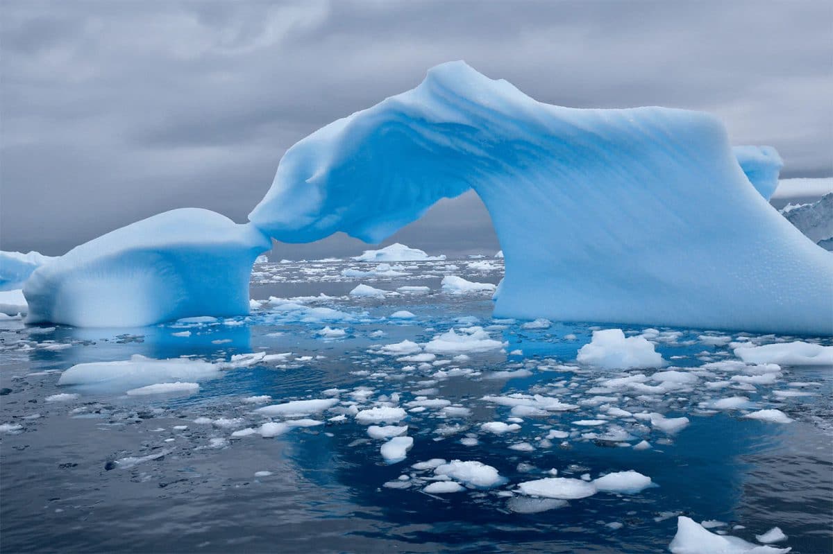 Antarctique, le baiser des glaces
