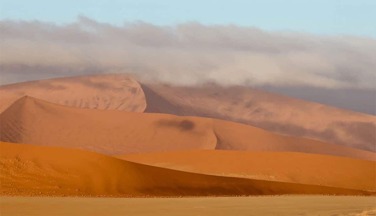 Du Namib à Etosha