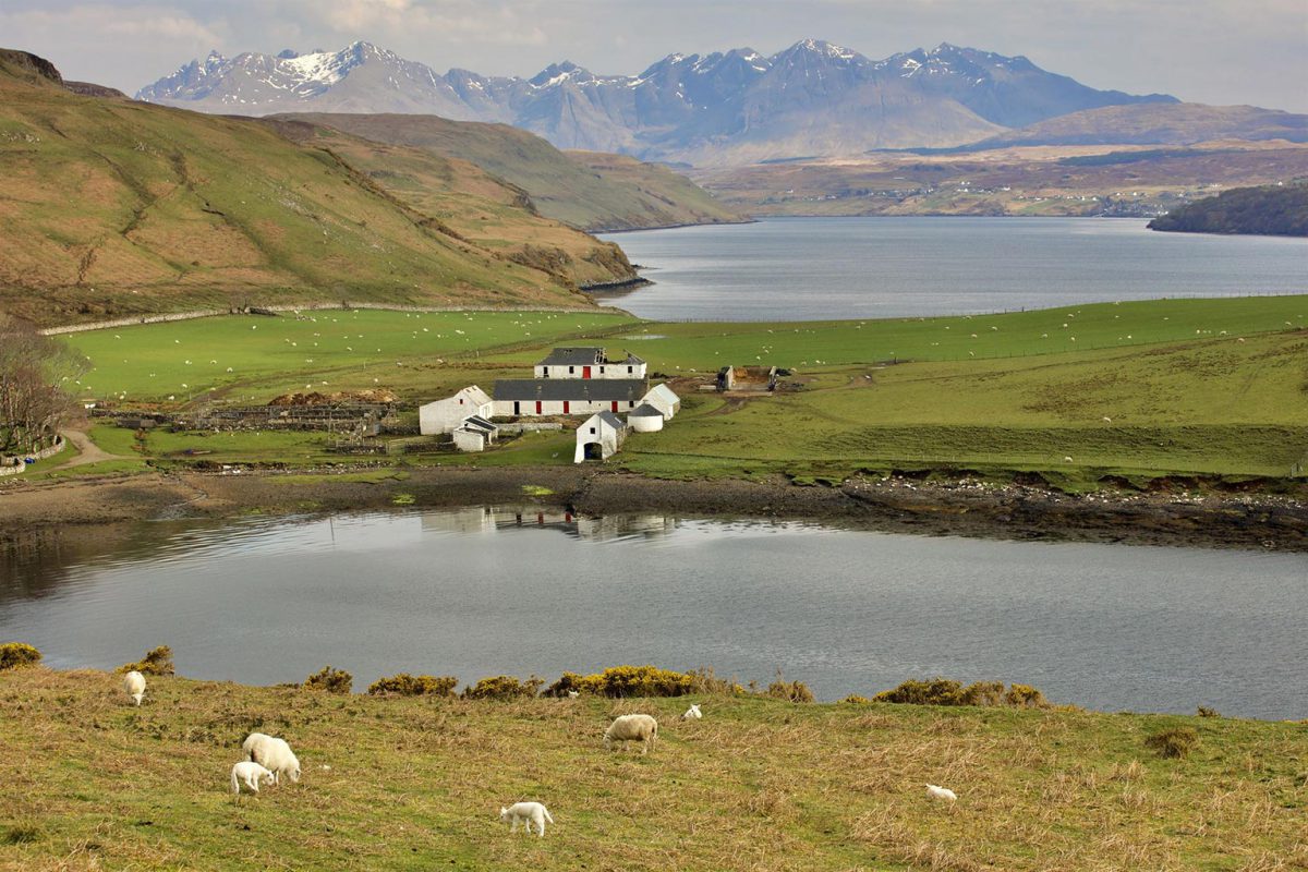 Île de Skye, paysage champêtre