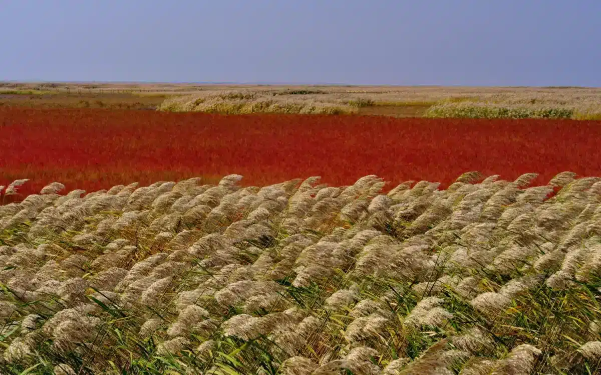 Paysages de Chine